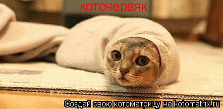 коточервяк... Котоматрица: коточервяк