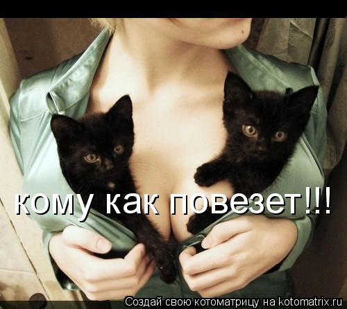 кому как повезет!!!... Котоматрица: кому как повезет!!!