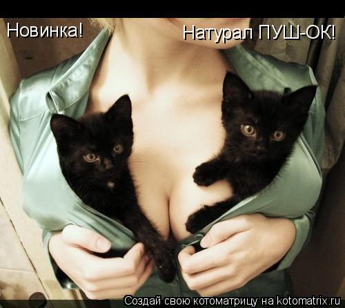 Новинка! Натурал ПУШ-ОК!... Котоматрица: Новинка! Натурал ПУШ-ОК!