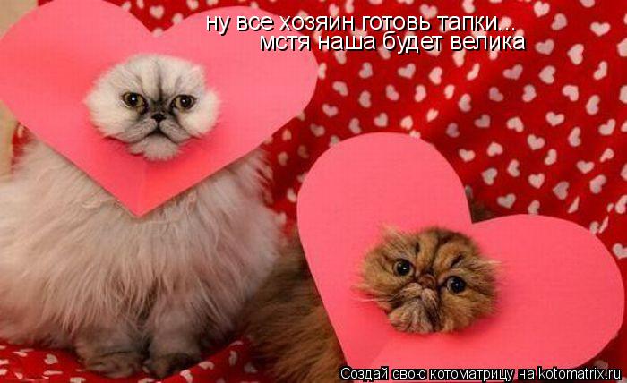 ну все хозяин готовь тапки... мстя наша будет велика... Котоматрица: ну все хозяин готовь тапки... мстя наша будет велика