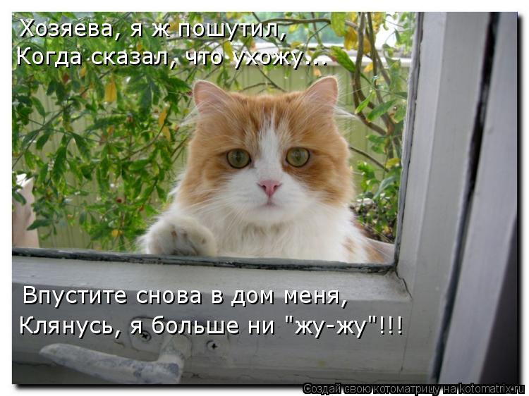 Хозяева, я ж пошутил, Когда сказал, что ухожу... Впустите снова в дом меня, Клянусь, я больше ни "жу-... Котоматрица: Хозяева, я ж пошутил, Когда сказал, что ухожу... Впустите снова в дом меня, Клянусь, я больше ни "жу-жу"!!!
