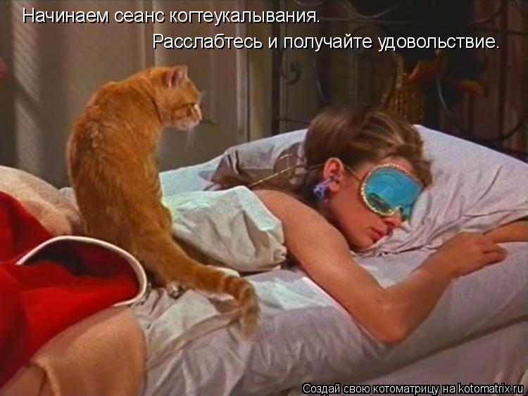 Начинаем сеанс когтеукалывания. Расслабтесь и получайте удовольствие.... Котоматрица: Начинаем сеанс когтеукалывания. Расслабтесь и получайте удовольствие.