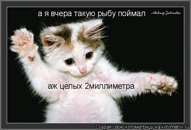а я вчера такую рыбу поймал аж целых 2миллиметра... Котоматрица: а я вчера такую рыбу поймал аж целых 2миллиметра
