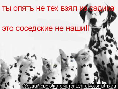 ты опять не тех взял из садика это соседские не наши!!... Котоматрица: ты опять не тех взял из садика это соседские не наши!!