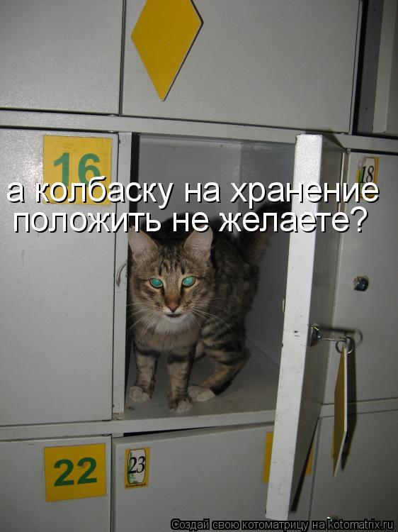 положить не желаете? а колбаску на хранение... Котоматрица: положить не желаете? а колбаску на хранение