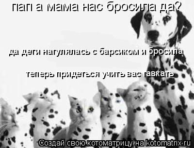 пап а мама нас бросила да? да дети нагулялась с барсиком и бросила теперь придеться учить вас гавкать... Котоматрица: пап а мама нас бросила да? да дети нагулялась с барсиком и бросила теперь придеться учить вас гавкать