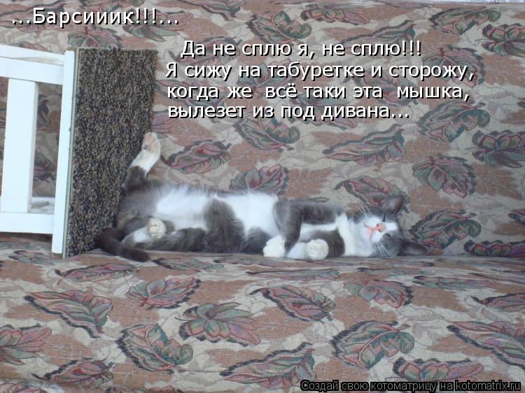 ...Барсииик!!!... Да не сплю я, не сплю!!! Я сижу на табуретке и сторожу, когда же всё таки эта мы... Котоматрица: ...Барсииик!!!... Да не сплю я, не сплю!!! Я сижу на табуретке и сторожу, когда же всё таки эта мышка, вылезет из под дивана...
