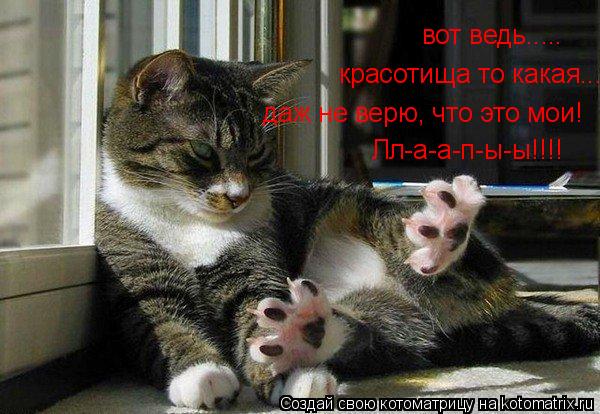 вот ведь..... красотища то какая.... даж не верю, что это мои! Лл-а-а-п-ы-ы!!!!... Котоматрица: вот ведь..... красотища то какая.... даж не верю, что это мои! Лл-а-а-п-ы-ы!!!!