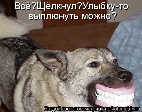 Всё?Щёлкнул?Улыбку-то выплюнуть можно?... Котоматрица: Всё?Щёлкнул?Улыбку-то выплюнуть можно?