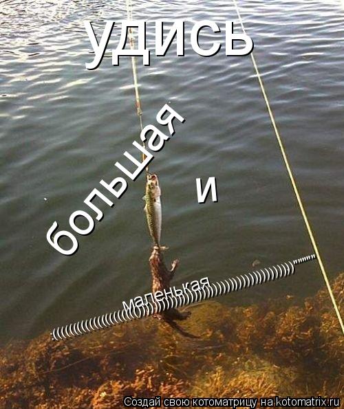 удись большая и маленькая :((((((((((((((((((((()))))))))))))))))))))))))))))))))))))))"""""... Котоматрица: удись большая и маленькая :((((((((((((((((((((()))))))))))))))))))))))))))))))))))))))"""""