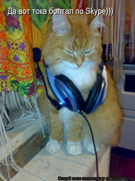Да вот тока болтал по Skype)))... Котоматрица: Да вот тока болтал по Skype)))