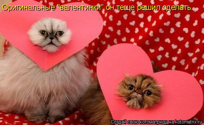 Оригинальные "валентинки" он теще решил сделать..... Котоматрица: Оригинальные "валентинки" он теще решил сделать..