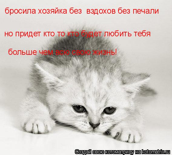 бросила хозяйка без вздохов без печали но придет кто то кто будет любить тебя больше чем всю свою жи... Котоматрица: бросила хозяйка без вздохов без печали но придет кто то кто будет любить тебя больше чем всю свою жизнь!