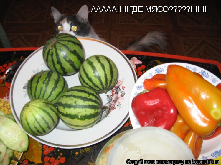 ААААА!!!!!ГДЕ МЯСО?????!!!!!!!... Котоматрица: ААААА!!!!!ГДЕ МЯСО?????!!!!!!!