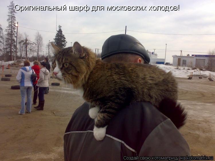 Оригинальный шарф для московских холодов!... Котоматрица: Оригинальный шарф для московских холодов!
