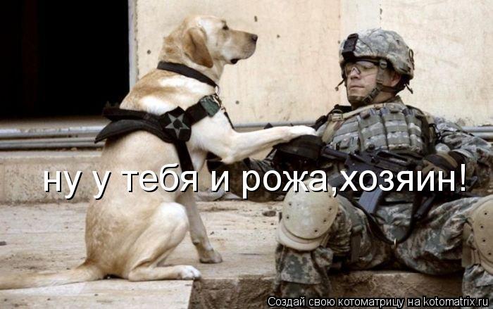 ну у тебя и рожа,хозяин!... Котоматрица: ну у тебя и рожа,хозяин!