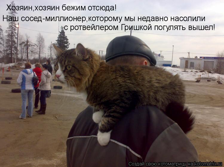 Хозяин,хозяин бежим отсюда! Наш сосед-миллионер,которому мы недавно насолили с ротвейлером Гришкой по... Котоматрица: Хозяин,хозяин бежим отсюда! Наш сосед-миллионер,которому мы недавно насолили с ротвейлером Гришкой погулять вышел!