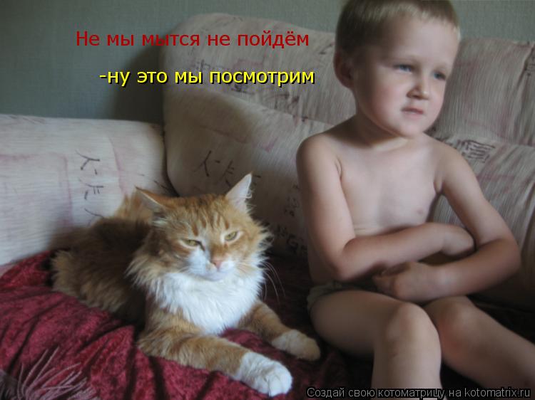 Не мы мытся не пойдём -ну это мы посмотрим... Котоматрица: Не мы мытся не пойдём -ну это мы посмотрим