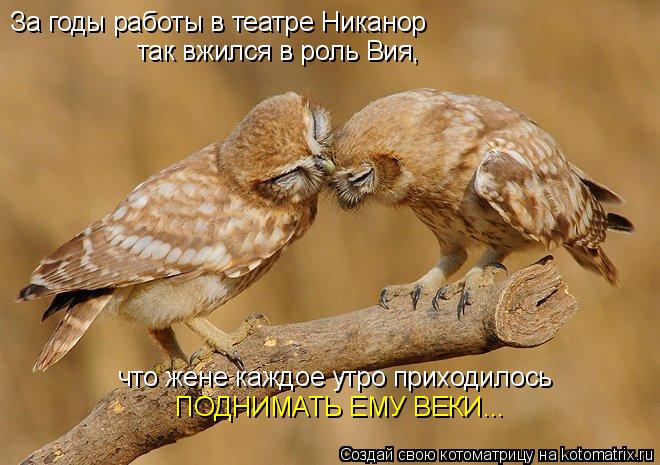 За годы работы в театре Никанор так вжился в роль Вия, что жене каждое утро приходилось ПОДНИМАТЬ ЕМ... Котоматрица: За годы работы в театре Никанор так вжился в роль Вия, что жене каждое утро приходилось ПОДНИМАТЬ ЕМУ ВЕКИ...