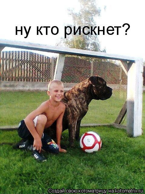ну кто рискнет?... Котоматрица: ну кто рискнет?