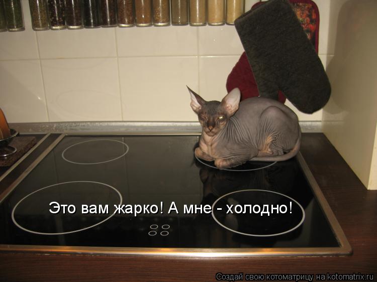 Это вам жарко! А мне - холодно!... Котоматрица: Это вам жарко! А мне - холодно!