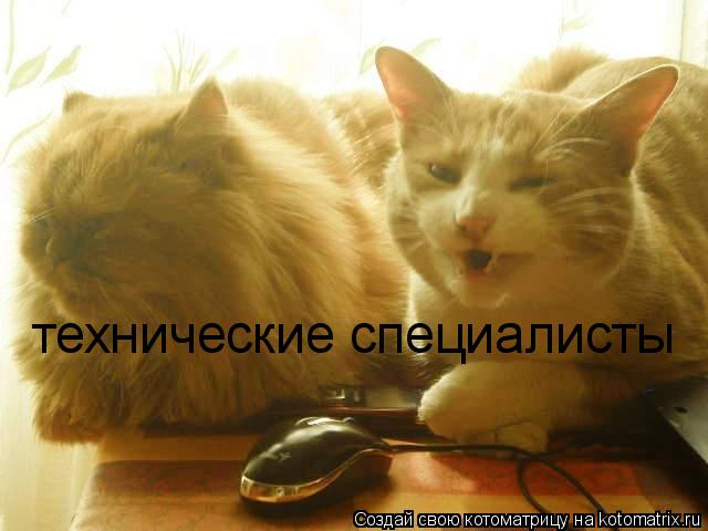 технические специалисты... Котоматрица: технические специалисты