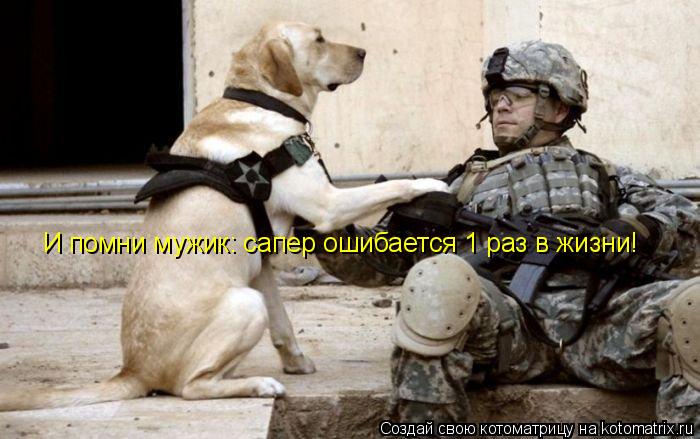 И помни мужик: сапер ошибается 1 раз в жизни!... Котоматрица: И помни мужик: сапер ошибается 1 раз в жизни!