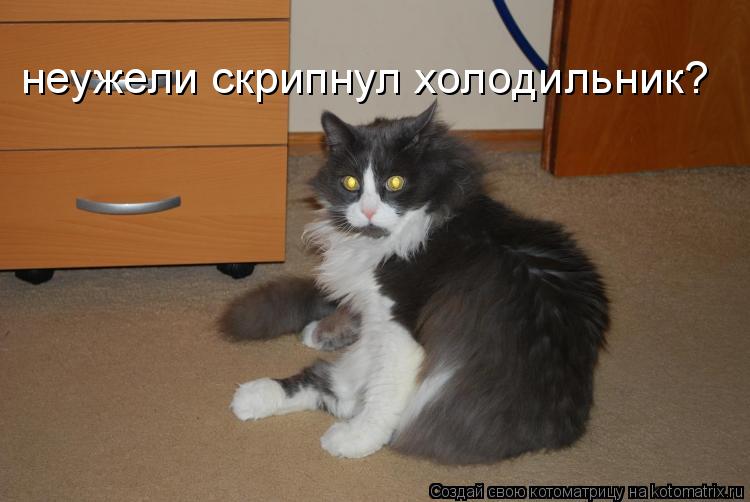 неужели скрипнул холодильник?... Котоматрица: неужели скрипнул холодильник?