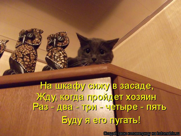 На шкафу сижу в засаде, Жду, когда пройдет хозяин Раз - два - три - четыре - пять Буду я его пугать!... Котоматрица: На шкафу сижу в засаде, Жду, когда пройдет хозяин Раз - два - три - четыре - пять Буду я его пугать!