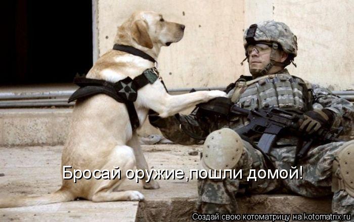 Бросай оружие,пошли домой!... Котоматрица: Бросай оружие,пошли домой!