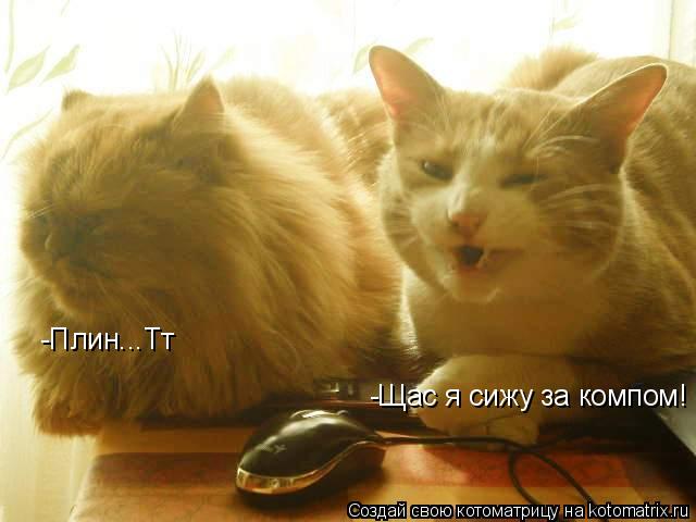 -Щас я сижу за компом! -Плин...Тт... Котоматрица: -Щас я сижу за компом! -Плин...Тт
