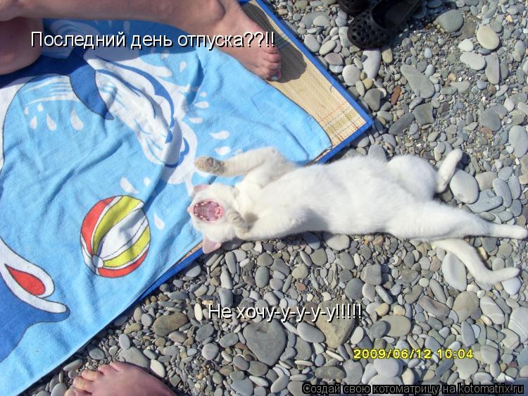 Последний день отпуска??!! Не хочу-у-у-у-у!!!!!... Котоматрица: Последний день отпуска??!! Не хочу-у-у-у-у!!!!!