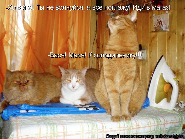 -Хозяйка! Ты не волнуйся, я все поглажу! Иди в магаз! -Вася! Мася! К холодильнику!!!... Котоматрица: -Хозяйка! Ты не волнуйся, я все поглажу! Иди в магаз! -Вася! Мася! К холодильнику!!!