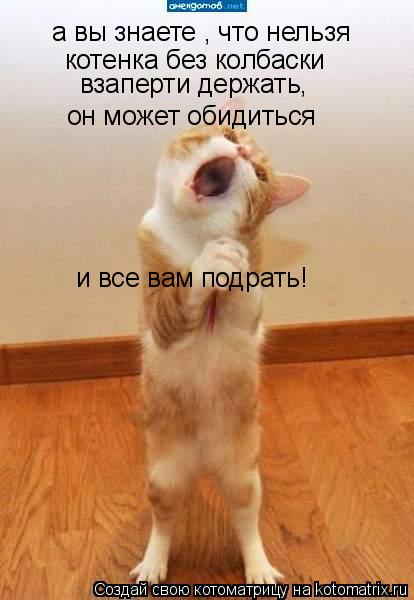 а вы знаете , что нельзя котенка без колбаски он может обидиться взаперти держать, и все вам подрать!... Котоматрица: а вы знаете , что нельзя котенка без колбаски он может обидиться взаперти держать, и все вам подрать!