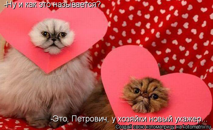 -Ну и как это называется? -Это, Петрович, у хозяйки новый ухажер...... Котоматрица: -Ну и как это называется? -Это, Петрович, у хозяйки новый ухажер...