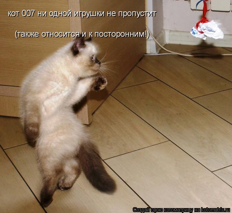 кот 007 ни одной игрушки не пропустит (также относится и к посторонним!)... Котоматрица: кот 007 ни одной игрушки не пропустит (также относится и к посторонним!)