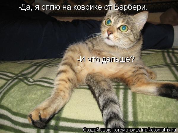 -Да, я сплю на коврике от Барбери. -И что дальше?... Котоматрица: -Да, я сплю на коврике от Барбери. -И что дальше?