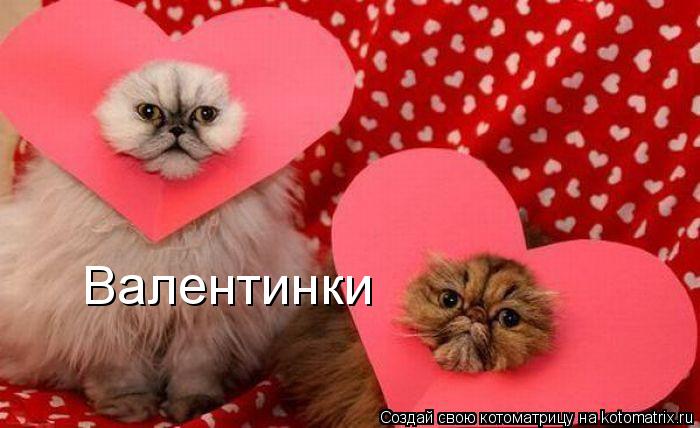Валентинки... Котоматрица: Валентинки