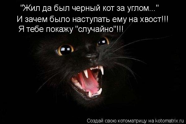 "Жил да был черный кот за углом..." И зачем было наступать ему на хвост!!! Я тебе покажу "случайно"!!... Котоматрица: "Жил да был черный кот за углом..." И зачем было наступать ему на хвост!!! Я тебе покажу "случайно"!!!