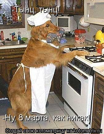 -Тынц, тынц! -Ну, 8 марта, как никак!... Котоматрица: -Тынц, тынц! -Ну, 8 марта, как никак!