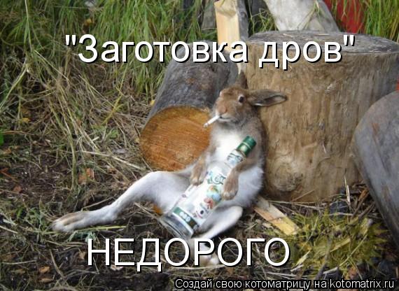 "Заготовка дров" НЕДОРОГО... Котоматрица: "Заготовка дров" НЕДОРОГО