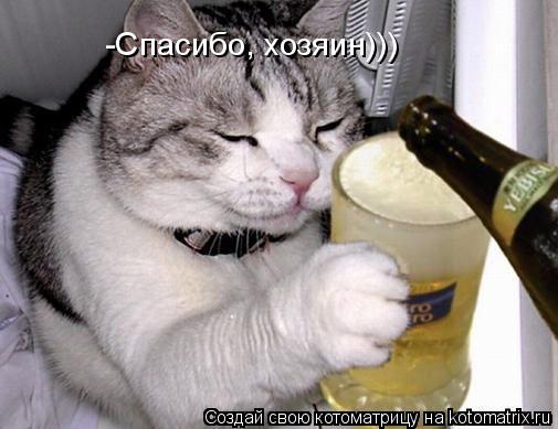 -Спасибо, хозяин)))... Котоматрица: -Спасибо, хозяин)))