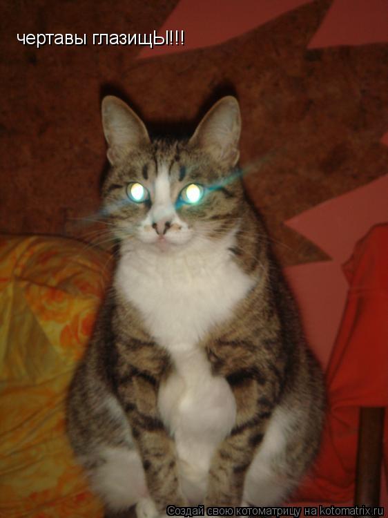 чертавы глазищЫ!!!... Котоматрица: чертавы глазищЫ!!!