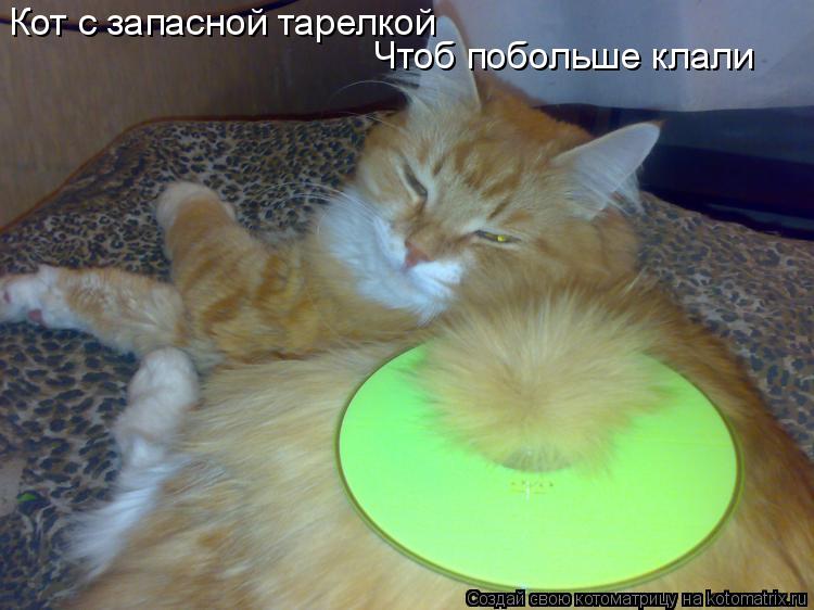 Кот с запасной тарелкой Чтоб побольше клали... Котоматрица: Кот с запасной тарелкой Чтоб побольше клали
