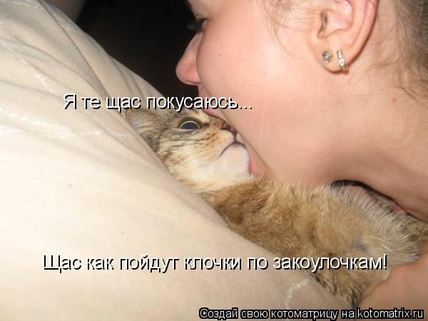 Я те щас покусаюсь... Щас как пойдут клочки по закоулочкам!... Котоматрица: Я те щас покусаюсь... Щас как пойдут клочки по закоулочкам!