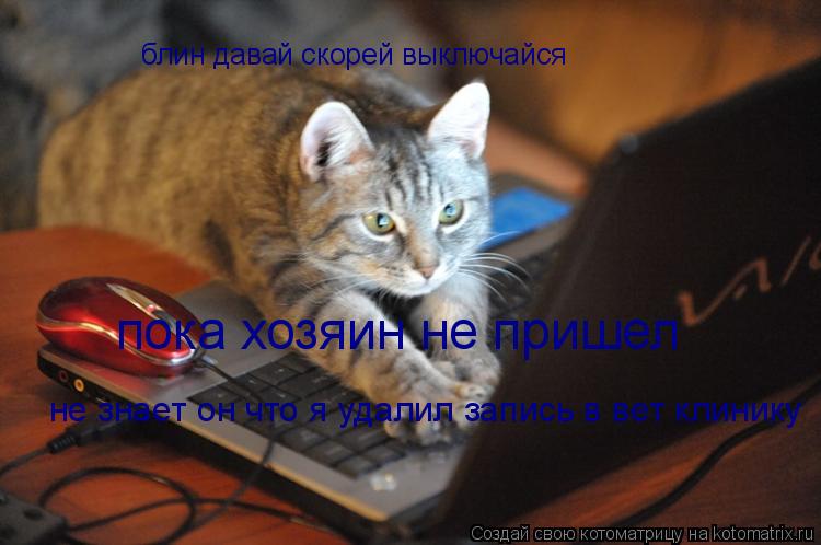 блин давай скорей выключайся пока хозяин не пришел не знает он что я удалил запись в вет клинику... Котоматрица: блин давай скорей выключайся пока хозяин не пришел не знает он что я удалил запись в вет клинику