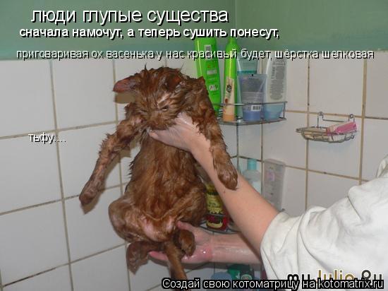 люди глупые существа сначала намочут, а теперь сушить понесут, приговаривая ох васенька у нас красивы... Котоматрица: люди глупые существа сначала намочут, а теперь сушить понесут, приговаривая ох васенька у нас красивый будет, шёрстка шелковая тьфу....