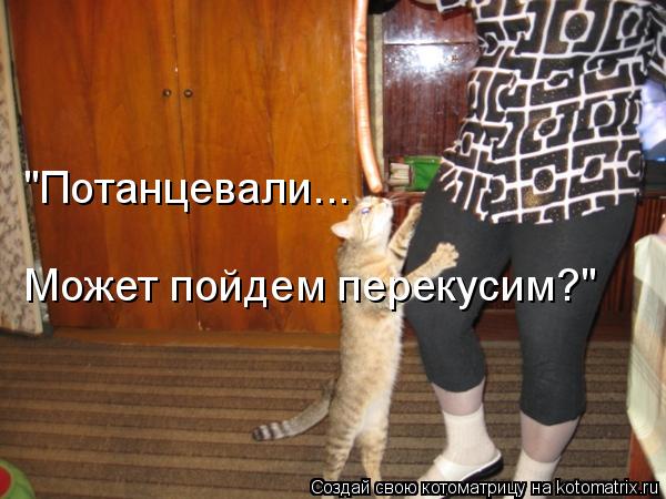"Потанцевали... Может пойдем перекусим?"... Котоматрица: "Потанцевали... Может пойдем перекусим?"