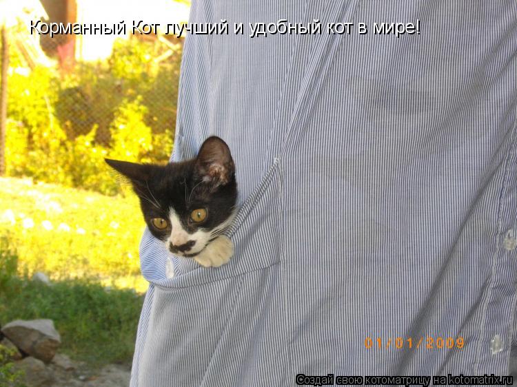 Корманный Кот лучший и удобный кот в мире!... Котоматрица: Корманный Кот лучший и удобный кот в мире!