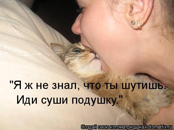 "Я ж не знал, что ты шутишь. Иди суши подушку."... Котоматрица: "Я ж не знал, что ты шутишь. Иди суши подушку."